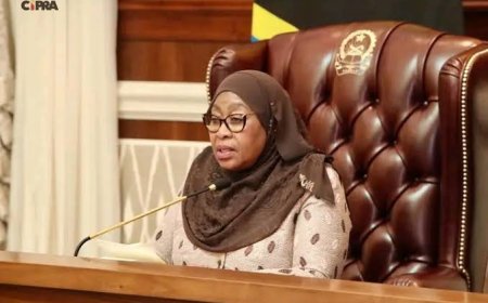 TANZÂNIA PREPARA REGRESSO DIPLOMÁTICO A ANGOLA