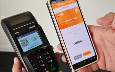 PAGAMENTOS DIGITAIS ACELERAM E EMIS BATE NOVOS RECORDES