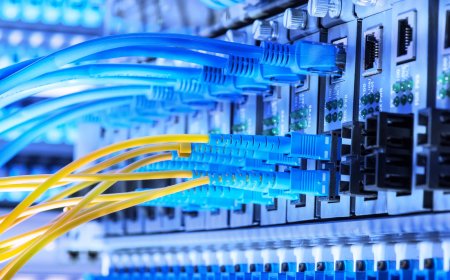 GOVERNO INVESTE 210 MILHÕES DE DÓLARES NA DIGITALIZAÇÃO DOS SERVIÇOS PÚBLICOS
