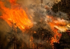 EL NIÑO DEVE ATINGIR INTENSIDADE MÁXIMA E PROLONGAR RISCOS CLIMÁTICOS ATÉ 2027
