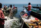 ANGOLA QUER MAIS DADOS PARA PROTEGER OS RECURSOS PESQUEIROS