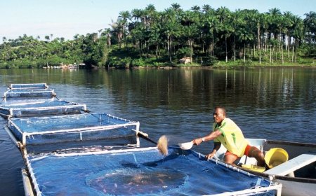 AQUICULTURA PRECISA DE MAIS INVESTIMENTO PARA CRESCER EM ANGOLA