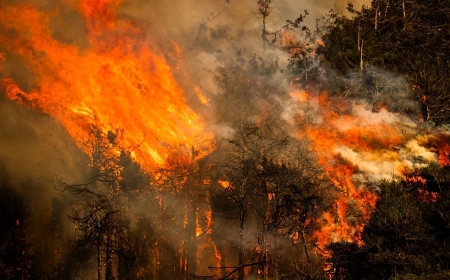 EL NIÑO DEVE ATINGIR INTENSIDADE MÁXIMA E PROLONGAR RISCOS CLIMÁTICOS ATÉ 2027