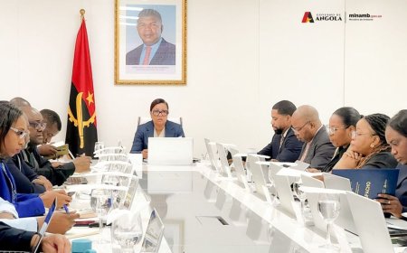 MINAMB AVALIA PRIORIDADES AMBIENTAIS E PROPOSTA DE OGE PARA 2027
