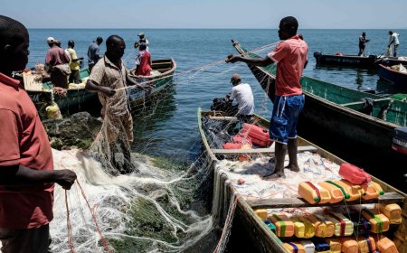 ANGOLA QUER MAIS DADOS PARA PROTEGER OS RECURSOS PESQUEIROS