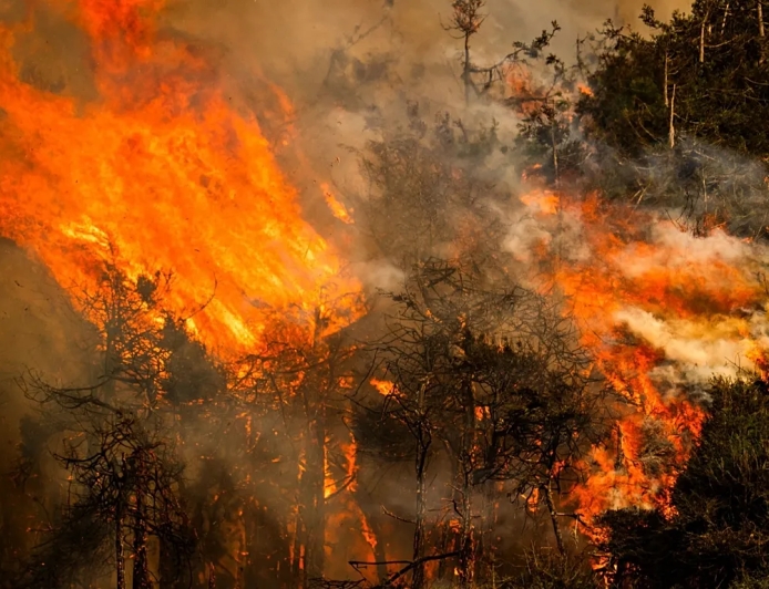 EL NIÑO DEVE ATINGIR INTENSIDADE MÁXIMA E PROLONGAR RISCOS CLIMÁTICOS ATÉ 2027