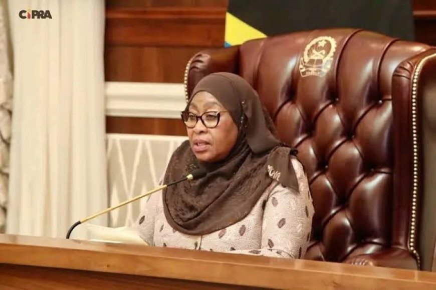 TANZÂNIA PREPARA REGRESSO DIPLOMÁTICO A ANGOLA