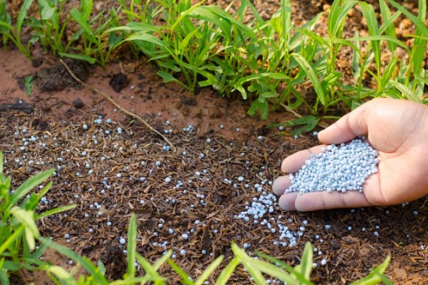 EXECUTIVO REFORÇA FERTILIZANTES PARA GARANTIR CAMPANHA AGRÍCOLA 2025/2026