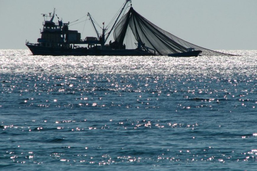 SEIS DIAS DEPOIS DO NAUFRÁGIO, CONTINUAM BUSCAS POR QUATRO MARINHEIROS EM BENGUELA