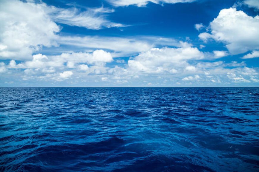 OCEANOS REGISTAM EM JULHO A TEMPERATURA MAIS ALTA DE SEMPRE