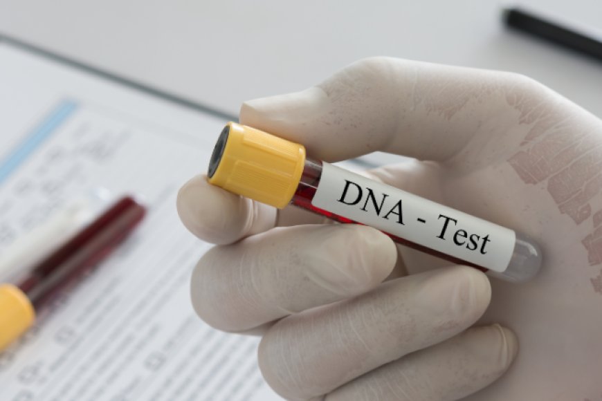 FAMILIARES COLABORAM NA RECOLHA DE AMOSTRAS PARA TESTES DE DNA EM MALANJE