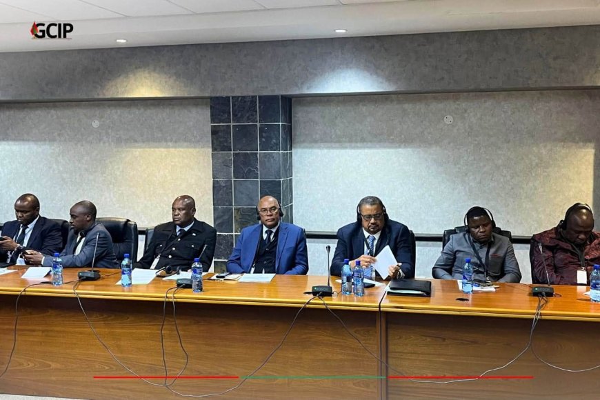 ADALBERTO COSTA JÚNIOR PARTICIPA NA SESSÃO INAUGURAL DO PARLAMENTO PAN-AFRICANO NA ÁFRICA DO SUL