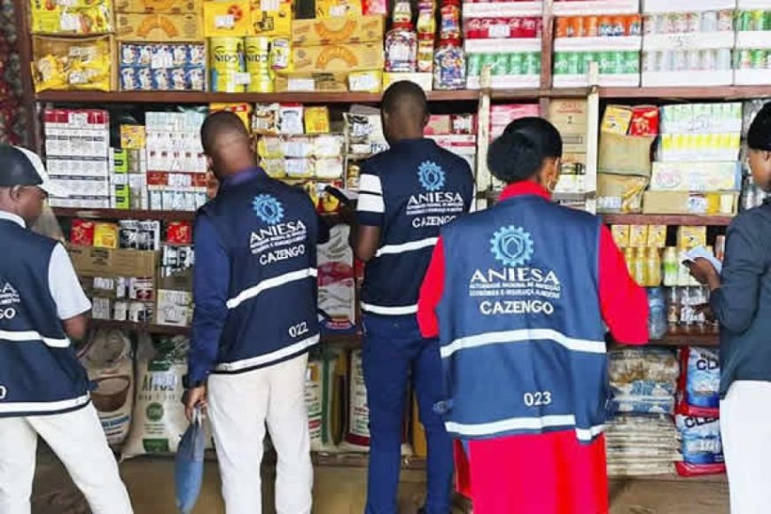 ANIESA PASSA A CONCENTRAR FISCALIZAÇÃO ECONÓMICA EM ANGOLA APÓS REFORMA APROVADA PELO EXECUTIVO