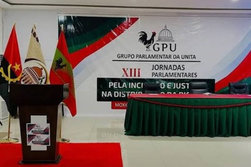 GRUPO PARLAMENTAR DA UNITA DEFINE PRIORIDADES PARA O PRÓXIMO CICLO ELEITORAL