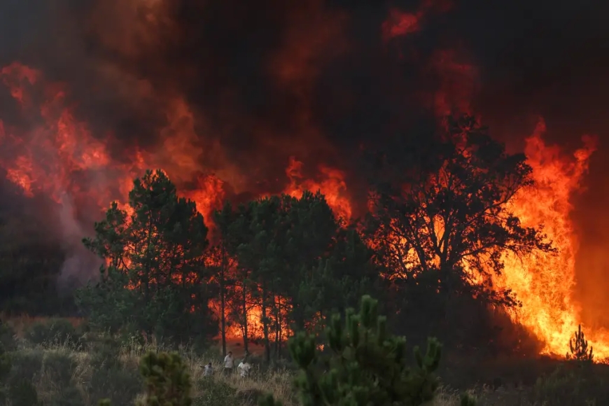 ONDA DE CALOR AGRAVA INCÊNDIOS FLORESTAIS NA EUROPA