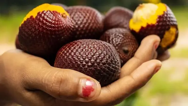 8 FRUTAS RARAS QUE SÓ PODE PROVAR NA AMAZÓNIA