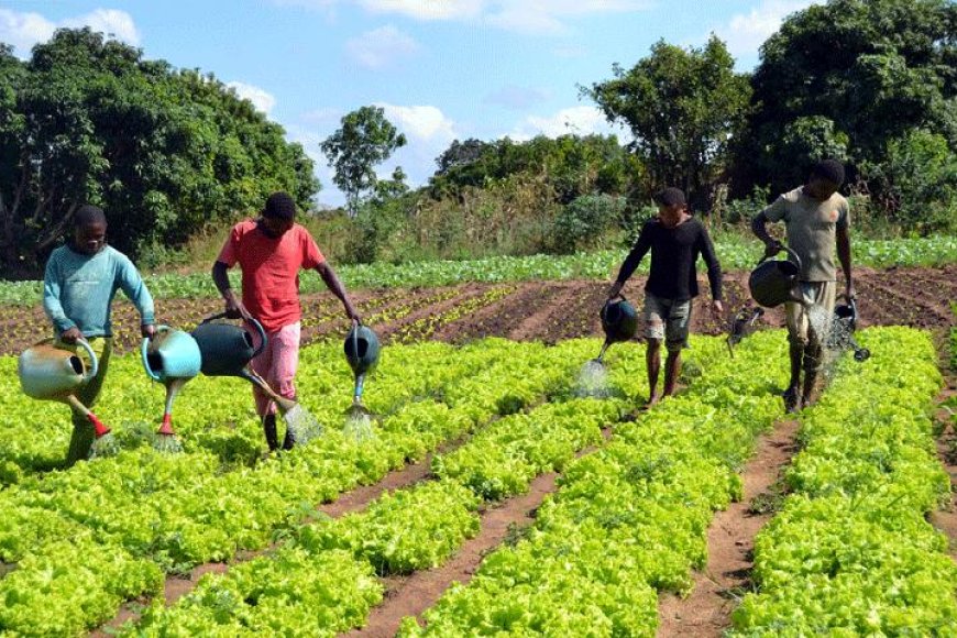 GOVERNO LANÇA ‘COMPACTO AGRICONNECT’ PARA REDUZIR IMPORTAÇÃO DE ALIMENTOS ATÉ 2030