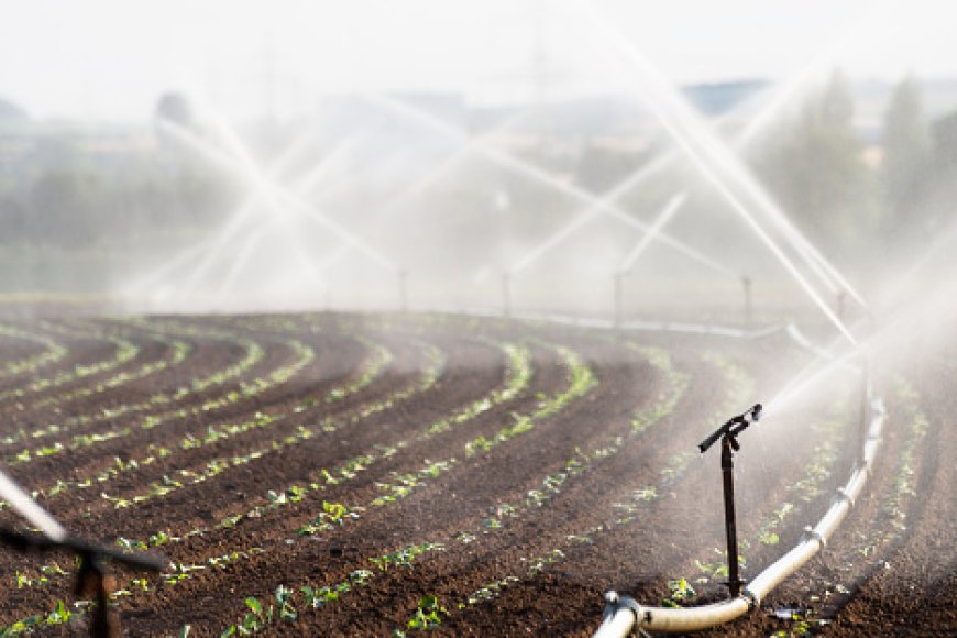 REPRESA NO CHICOMBA VAI REFORÇAR PRODUÇÃO AGRÍCOLA E SEGURANÇA ALIMENTAR NA HUÍLA