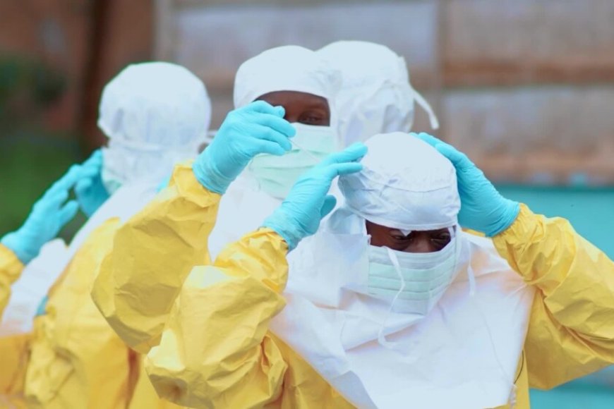 CASOS DE ÉBOLA NA RDC SOBEM PARA 452 E AUTORIDADES ALERTAM PARA RÁPIDA TRANSMISSÃO COMUNITÁRIA   