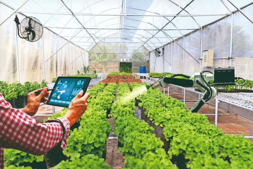 SÉRVIA PROMETE APOIAR ANGOLA COM FERTILIZANTES E TECNOLOGIA AGRÍCOLA