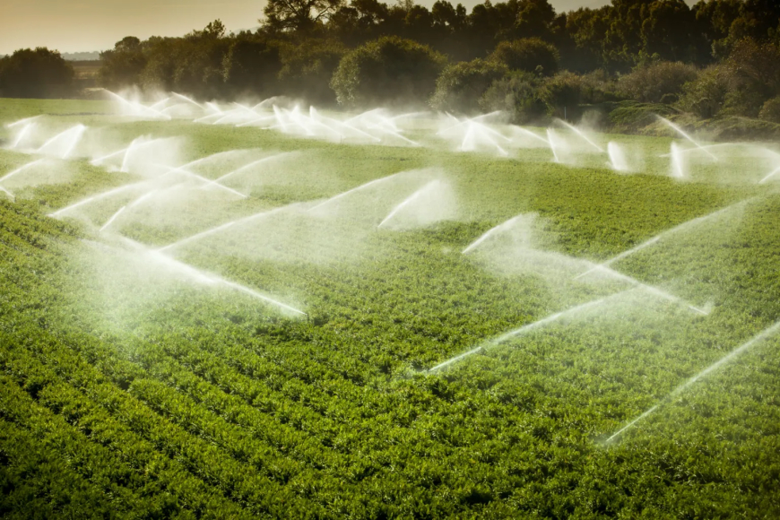 BANCOS REFORÇAM APOIO AO SECTOR AGRÍCOLA NO PERÍMETRO IRRIGADO DO CAXITO