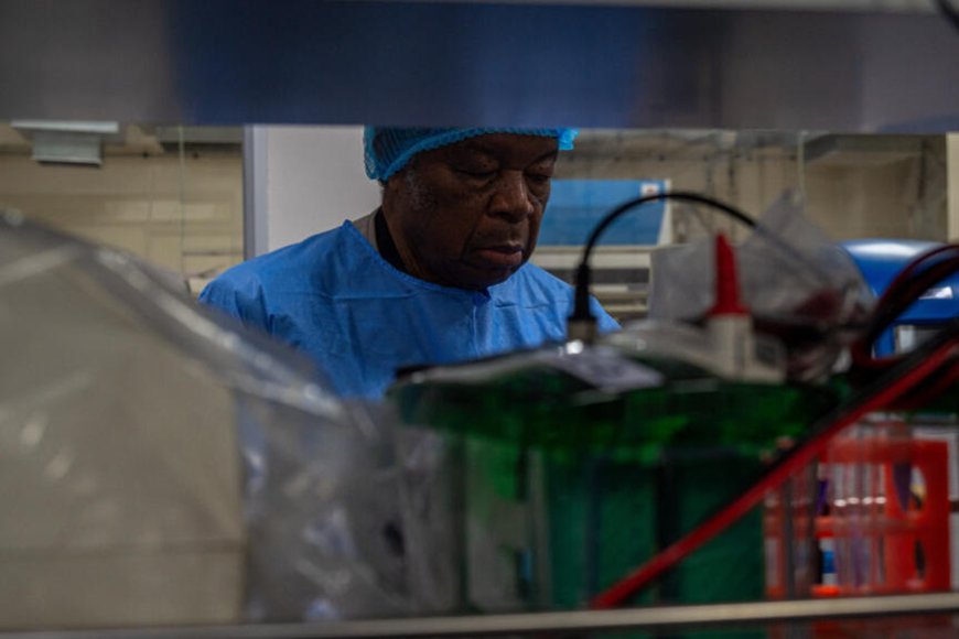 ANGOLA ACTIVA PLANO DE CONTINGÊNCIA PARA IMPEDIR ENTRADA DO ÉBOLA