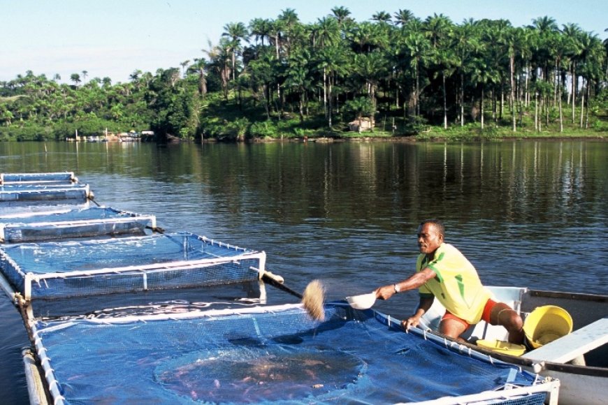 ANGOLA QUER AFIRMAR-SE COMO REFERÊNCIA REGIONAL NA AQUICULTURA