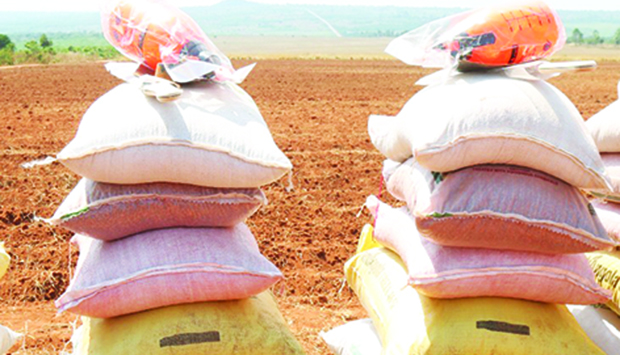 HUAMBO PREPARA 3 MIL TONELADAS DE ADUBO PARA REFORÇAR PRÓXIMA CAMPANHA AGRÍCOLA