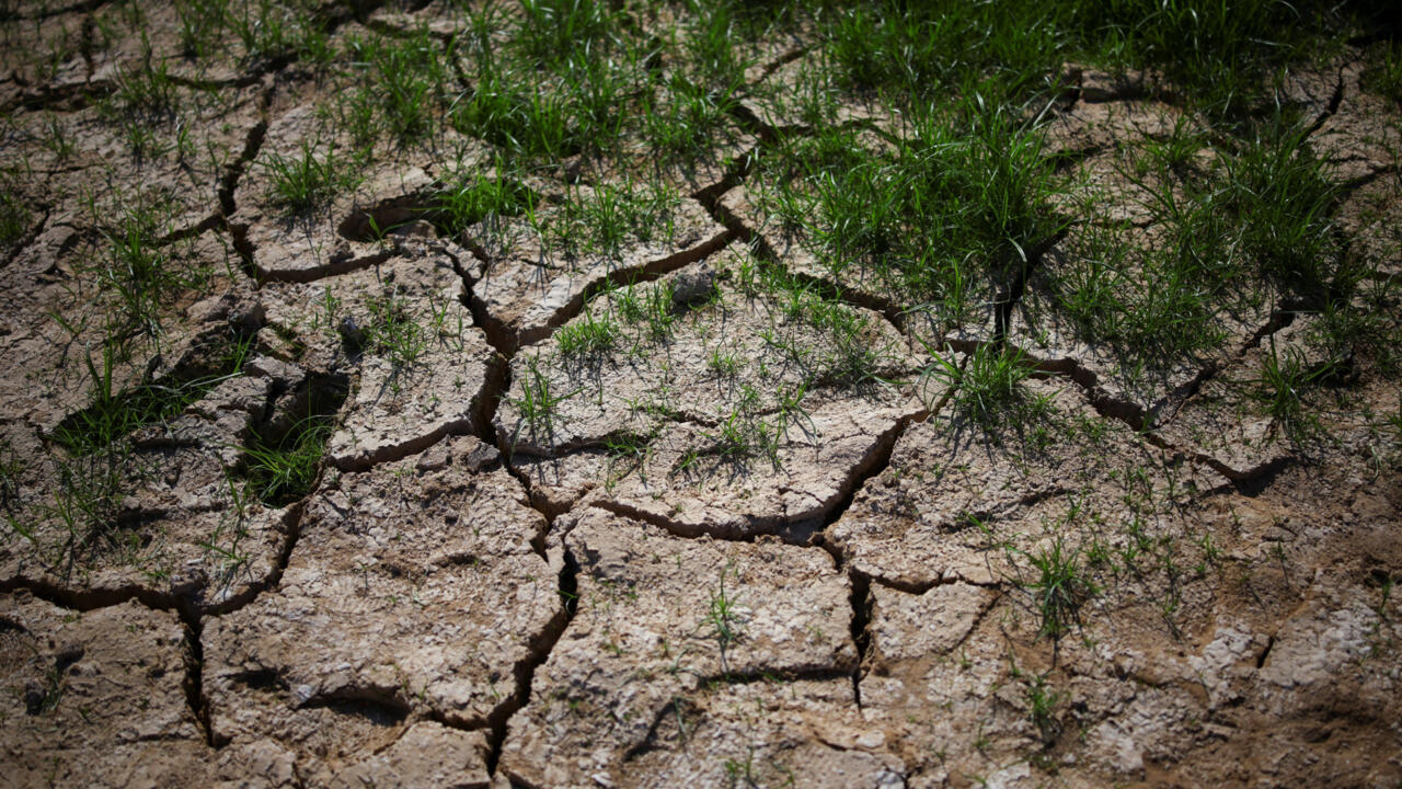 ONU LANÇA ALERTA: MUNDO FALHA META CLIMÁTICA E ENFRENTA AQUECIMENTO ACIMA DE 1,5°C