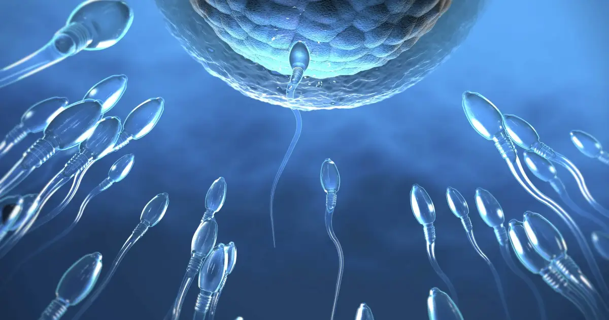 PÍLULA MASCULINA QUE BLOQUEIA ESPERMATOZOIDES PODE CHEGAR A TESTES EM HUMANOS EM DOIS ANOS