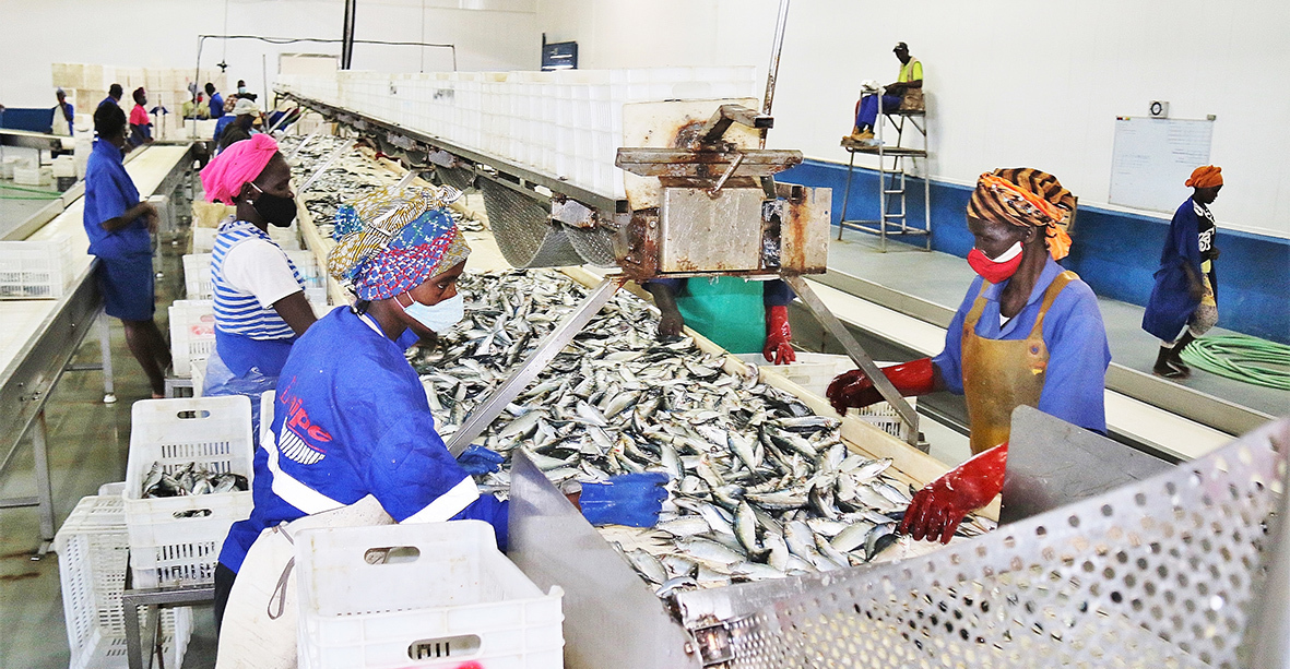 CIPAS 2026 DEBATE INDUSTRIALIZAÇÃO DO PESCADO E FUTURO DA ECONOMIA AZUL EM ANGOLA